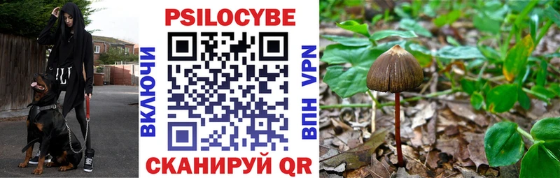 Псилоцибиновые грибы Psilocybe хочу наркоту Лермонтов
